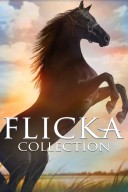 Flicka 2: Amies pour la vie