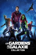 Les Gardiens de la Galaxie : Volume 3